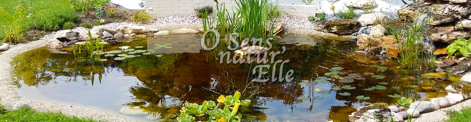 osensnaturelle bandos bassin